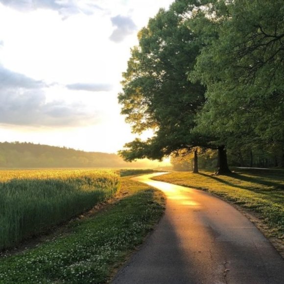 Meet your Posher, Rane - Picture 1 of 2